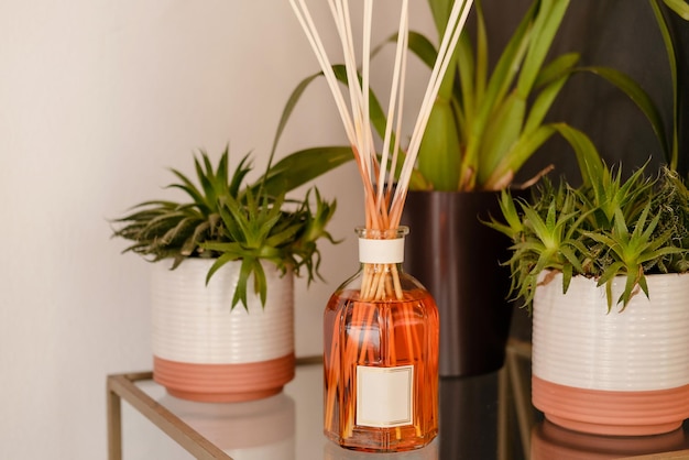 Aroma reed diffuser creat the relax and nice ambient in room or house, and plants on table