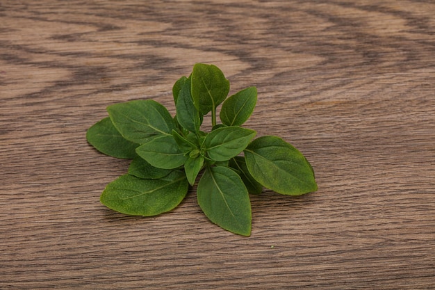 Aroma seasoning Green Basil leaves