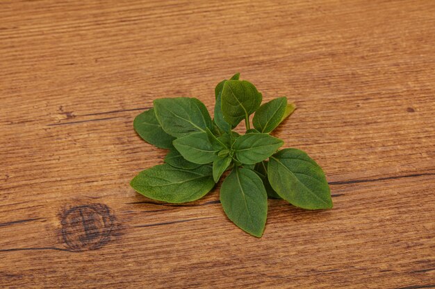 Aroma seasoning Green Basil leaves