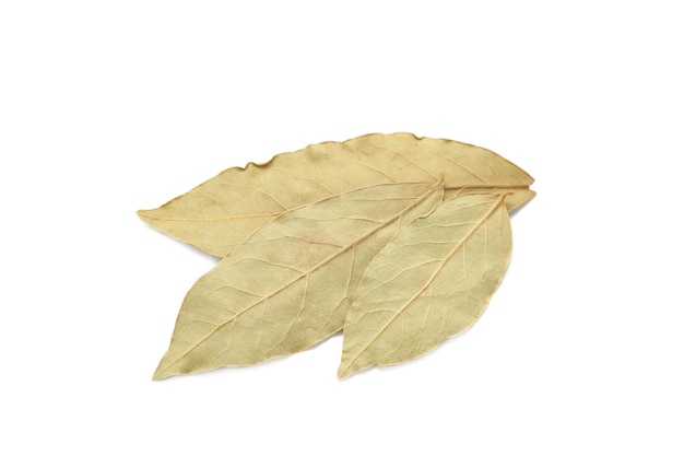 Aromatic bay leaves isolated on white background