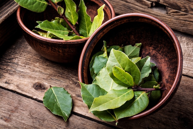 Aromatic bay leaves