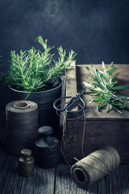 Aromatic and healthy green herbs on a wooden box