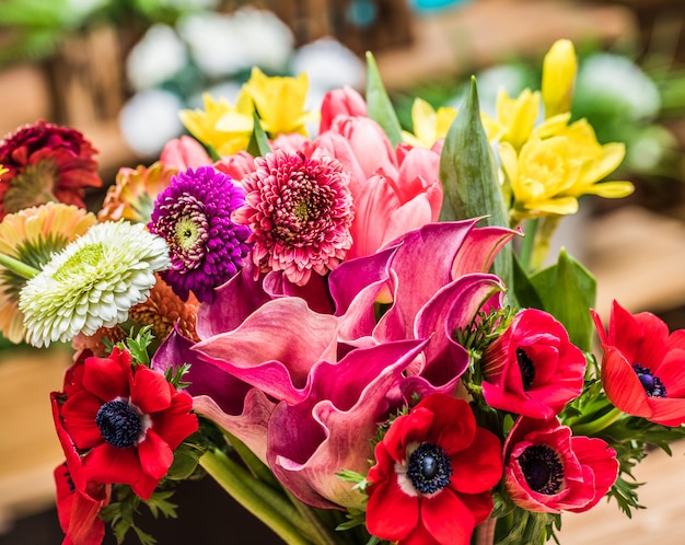 Arranged blooming vivid flowers in close-up