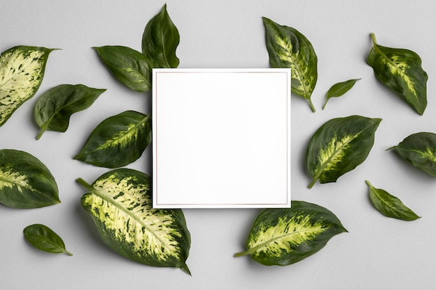 Arrangement of green leaves with empty frame