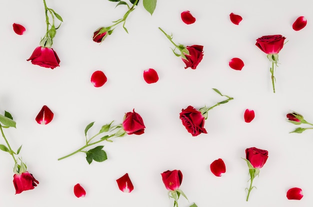 Arrangement of simple red roses