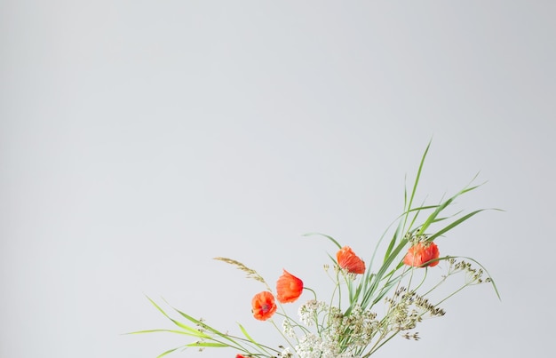 arrangement of wild flowers and plants on gray background