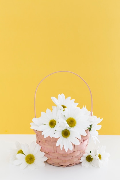 Photo arrangement with basket of daisies and yellow wall