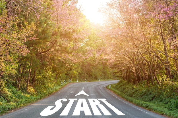 Photo arrow and start written on the road in the middle of asphalt road with flower blooming concept of planning and challenge or career path business plan strategy opportunity and change my life