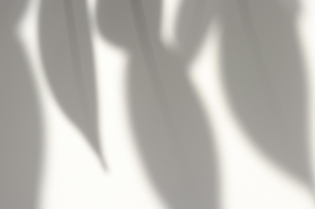 Photo the art of nature analyzing the abstract shadows of tree leaves on a white wall