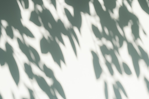 The Art of Nature Analyzing the Abstract Shadows of Tree Leaves on a White Wall