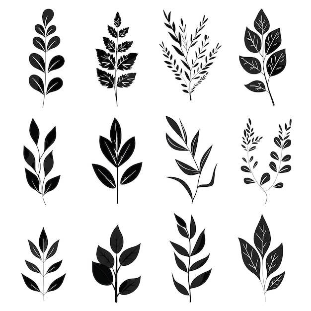 Photo art nouveau leaf motifs with decorative plant elements in black and white featuring intricate patterns and elegant curves for a classic design