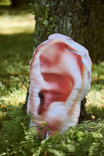 Art object of human ear on tree trunk in green forest background trees hearing ecological concept