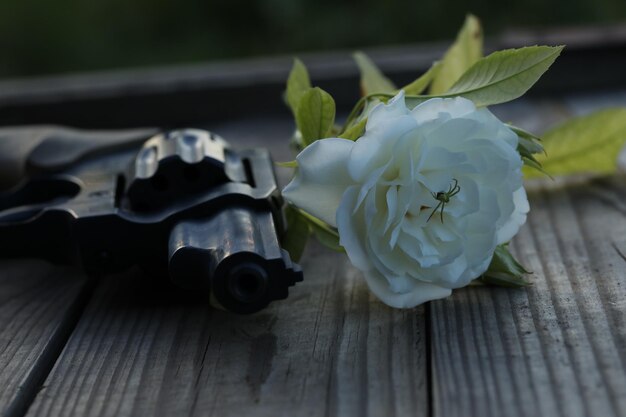 art photo. vintage still life with gun and rose on wooden background