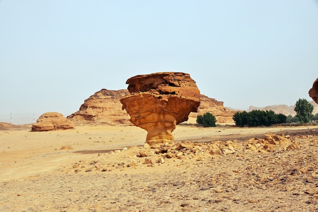 The Art Rock in the desert close Al Ula Saudi Arabia