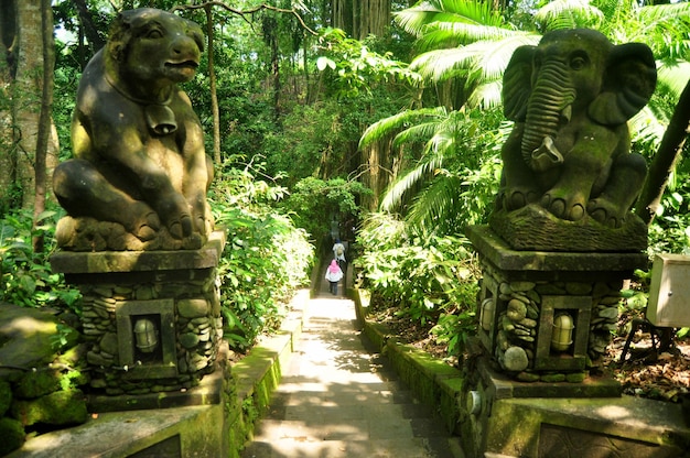 Art sculpture and carved antique deity angel god of hindu statue balinese style in Mandala Suci Wenara Wana or Ubud Sacred Monkey Forest Sanctuary at Ubud city in Bali Indonesia