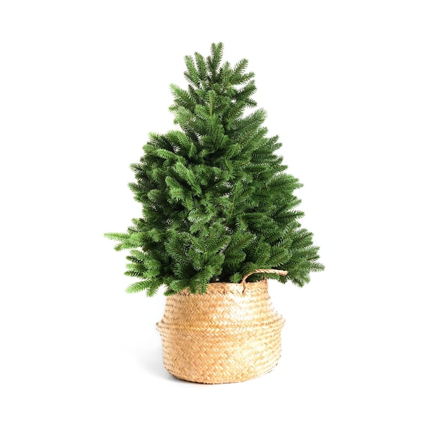 Artificial Christmas tree isolated on white background Xmas holiday Reusable cast Christmas tree