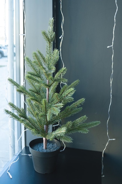 An artificial Christmas tree stands on a window decorated with garlands of light bulbs