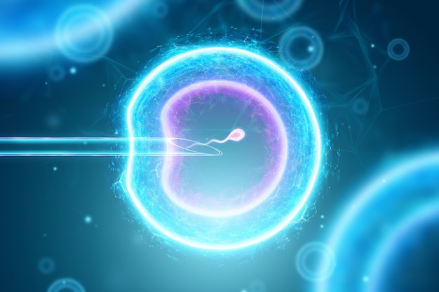 Artificial fertilization of an egg. Surgical placement of the sperm into the egg. Pregnancy, infertility treatment, motherhood. 3D illustration, 3D render.