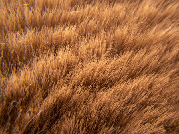 Artificial fur abstract texture, gold or brown fur macro stage detail pattern, imitating nature.