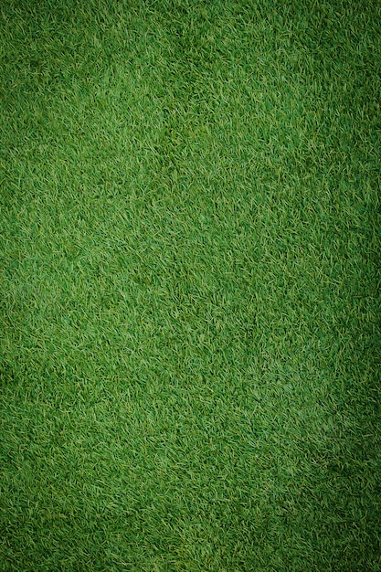 Artificial Grass Field Top View Texture.