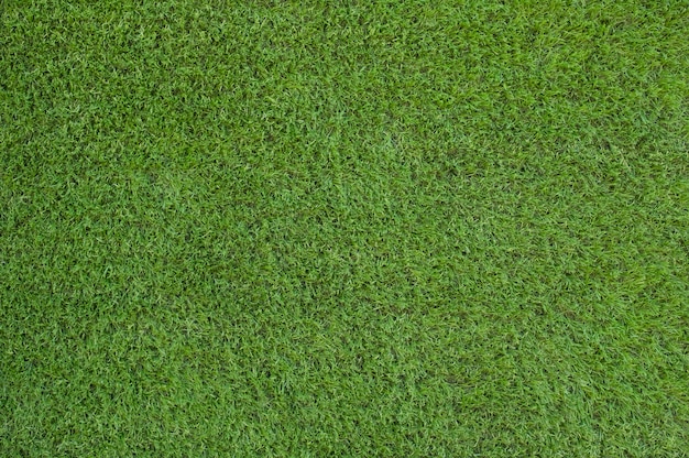 Artificial green grass text and background