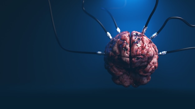 Artificial Intelligence image of the brain with different dachiks connected to it transmitting or receiving data signals