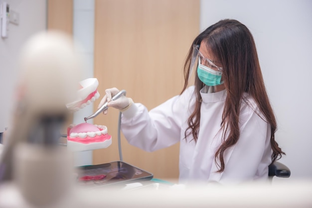 On the artificial jaw, the doctor clearly demonstrates how to brush the patient's teeth with a toothbrush.