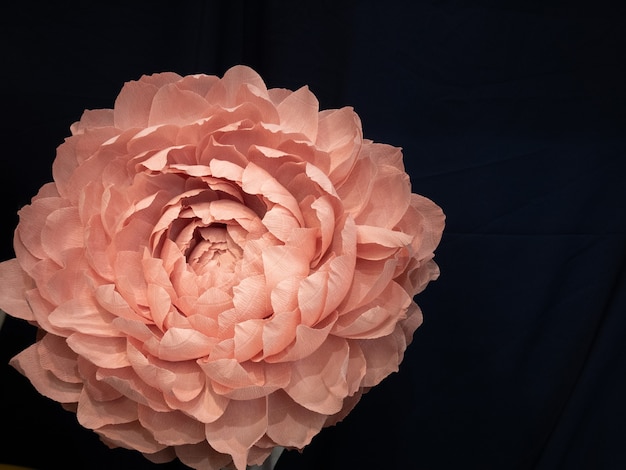 Artificial pink rose or chrysanthemum flower made of paper isolated cutout on black