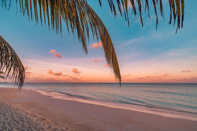 Artistic beautiful sunrise over the tropical beach, coconut tree leaves beach. Amazing palm leaves