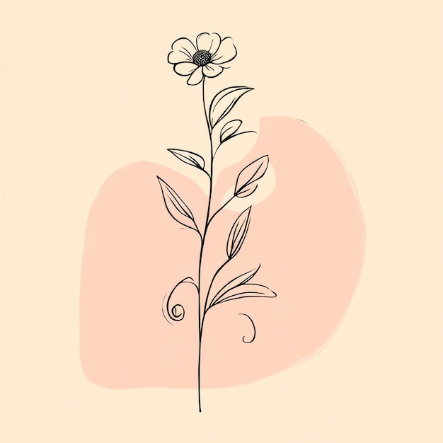 Artistic flower drawings Black and white with line art Illustrations