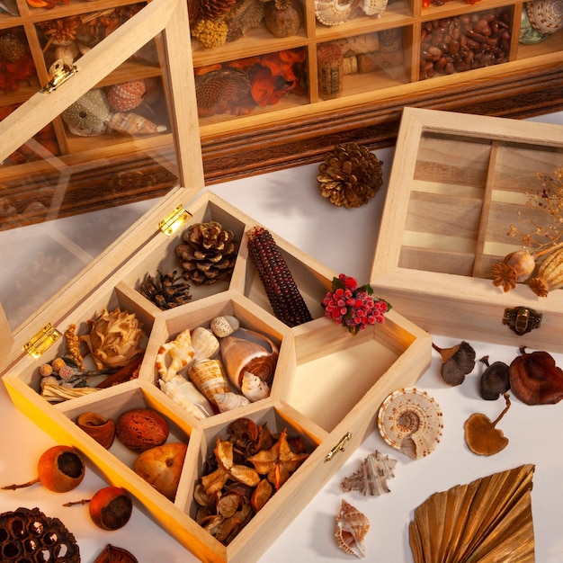 Arts and Crafts Display Boxes