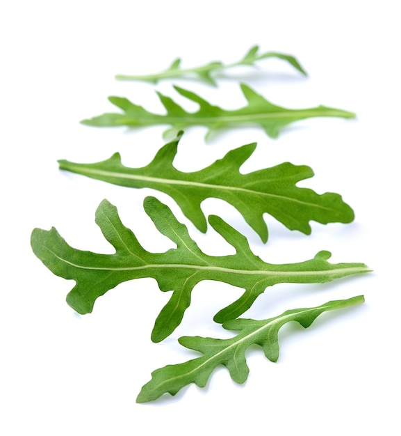 Arugula leaves isolated on white