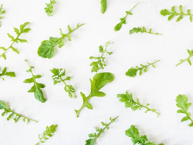 Arugula pattern isolated on white background. Composition made of arugula leaves. Flat lay, top view