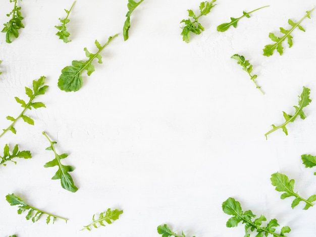 Arugula pattern isolated on white background. Composition made of arugula leaves. Flat lay, top view