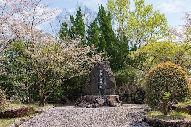 Photo asahiyama shinrin park mt asahi forest park cherry blossoms in full bloom in shikoku island