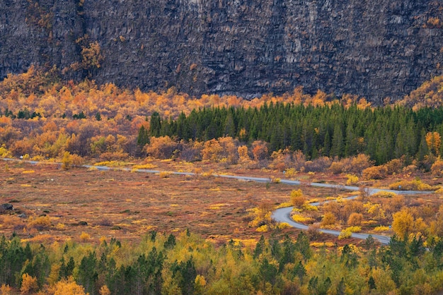 Asbyrgi deep canyon and curves road on autumn in northern iceland