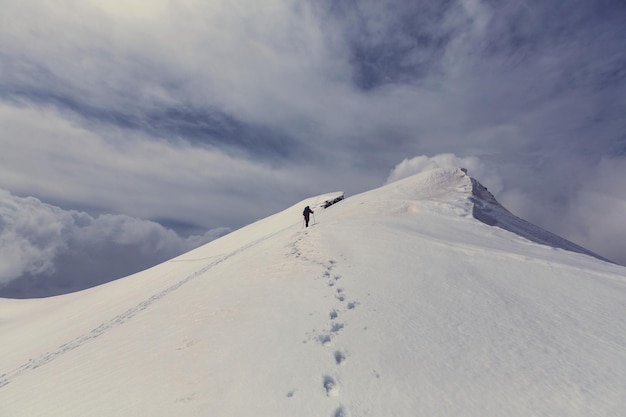 Ascent to Olympus