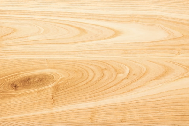 Ash wood texture. The background of the wood of hardwood 