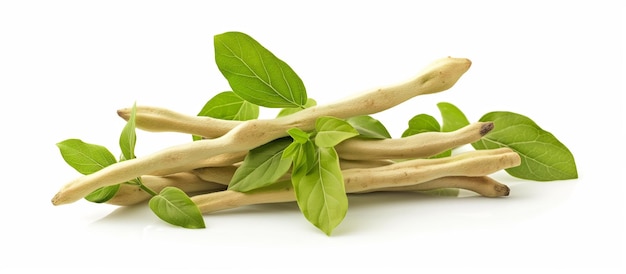 ashwagandha herb isolated on white background