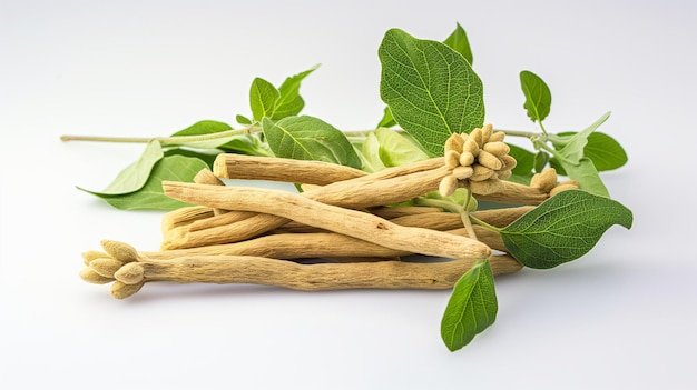 ashwagandha herb isolated on white background