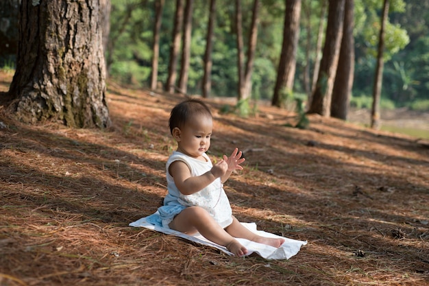 Photo asian baby girl learning a nature in pine forest