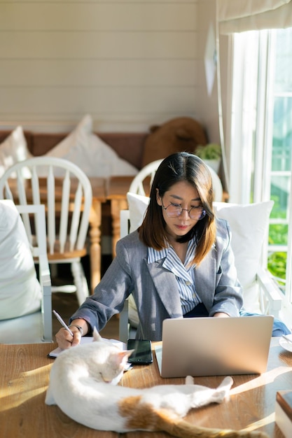 Asian business woman holding pen and using laptop working on desk in the cafe Business woman work and play with white cat on the table