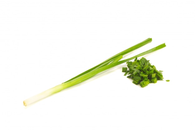 Asian chives (leek) (chopped) isolated on white background