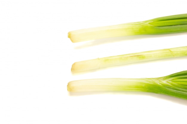 Asian chives (leek) isolated on white background