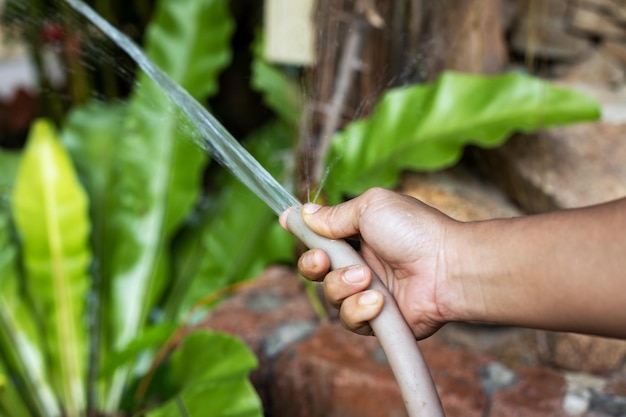 Asian dark skinned female hand with garden hose watering plants close up soft focus