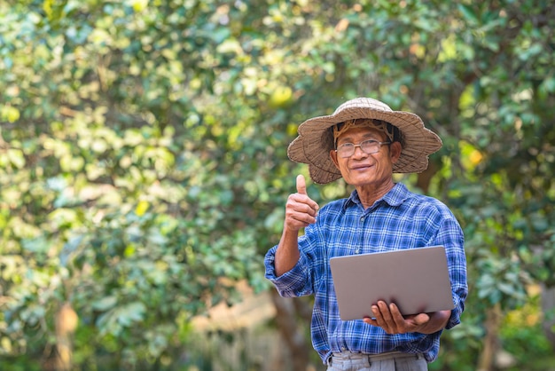 Asian farmer in the field with laptop