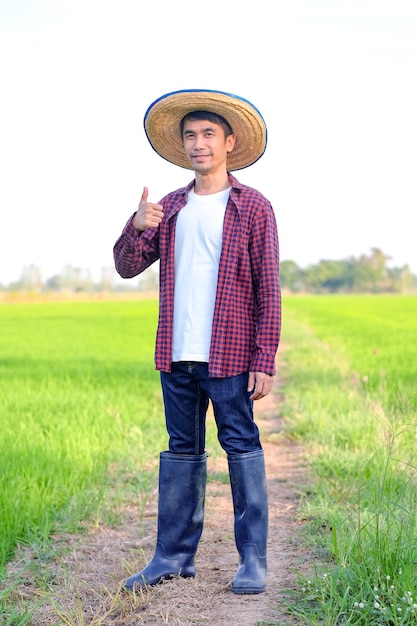 Asian farmer man smile and thumbs up at green rice farm.