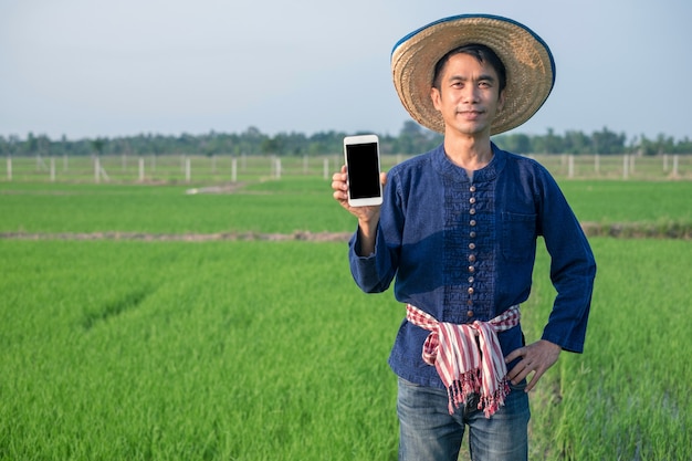 Asian farmer man wear traditional costume hold smartphone and smile at green rice farm