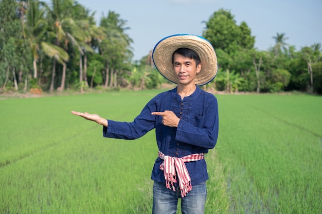 Asian farmer man wears traditional costume standing and raised up a hand at green rice farm. Image for presentation.