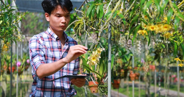 Asian farmer using digital tablet for check data in the orchid farm